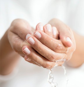 Replant_attends_egyeb_termekek