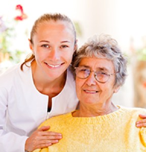 Replant_attends_nappali_nadragpelenkak